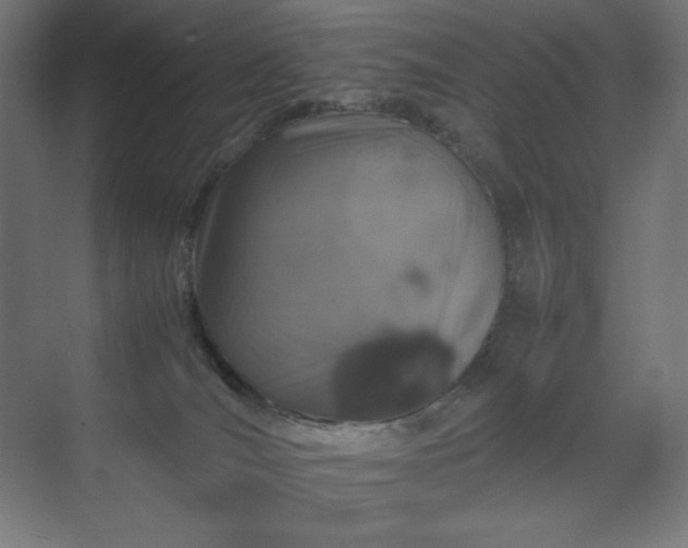 X0000070210036200606021307