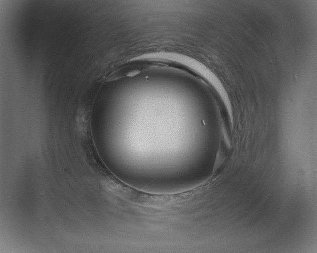 X0000070210037200606021307