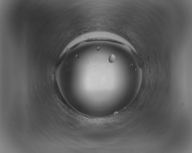 X0000070210038200606021307