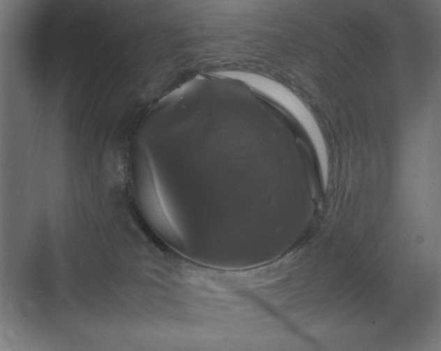 X0000070210039200606021306