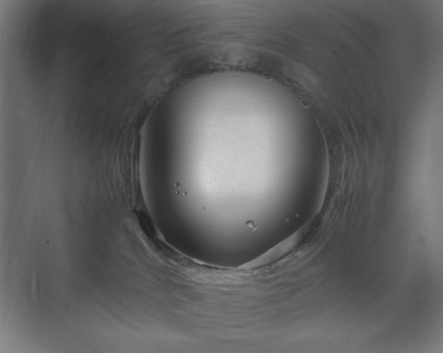 X0000070210040200606021306