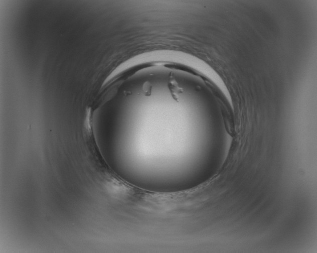 X0000070210041200606021306