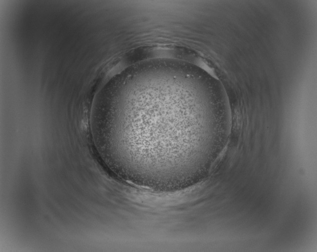 X0000070210043200606021306