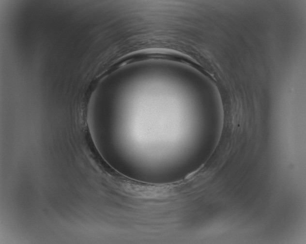 X0000070210044200606021306