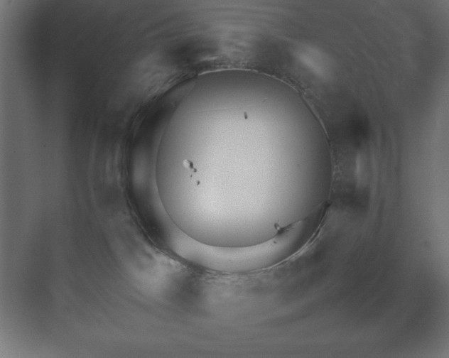 X0000070210045200606021306