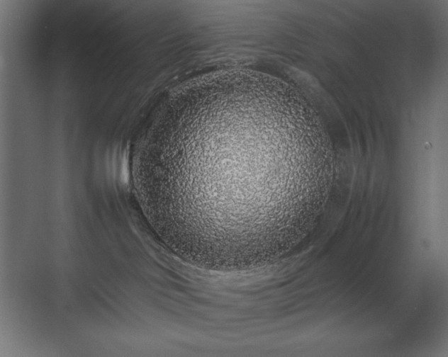 X0000070210046200606021306