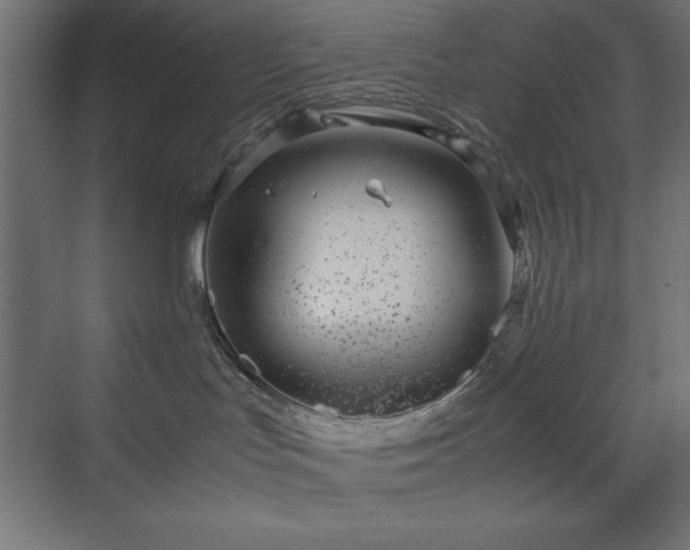 X0000070210047200606021306