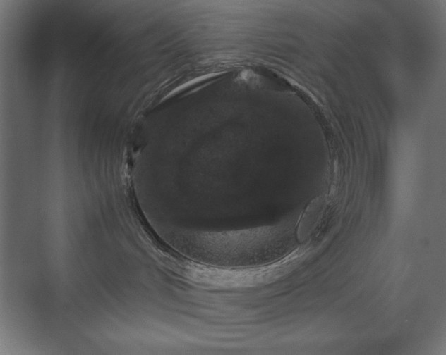 X0000070210048200606021306