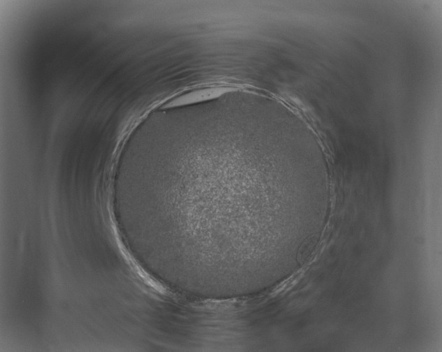 X0000070210049200606021306