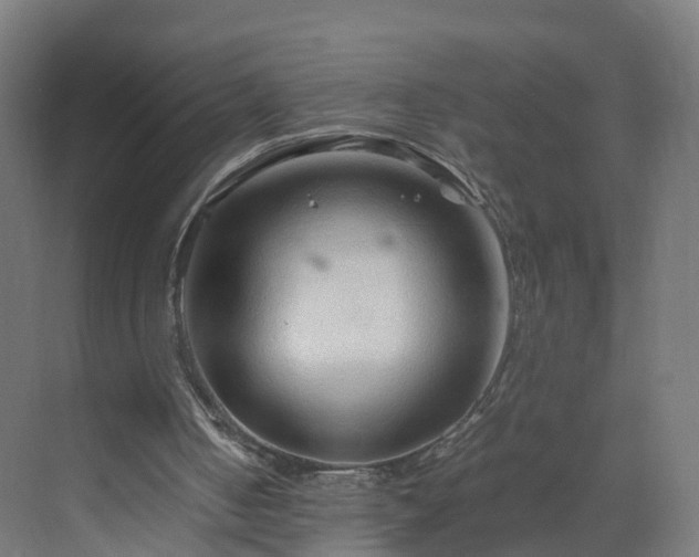 X0000070210050200606021306