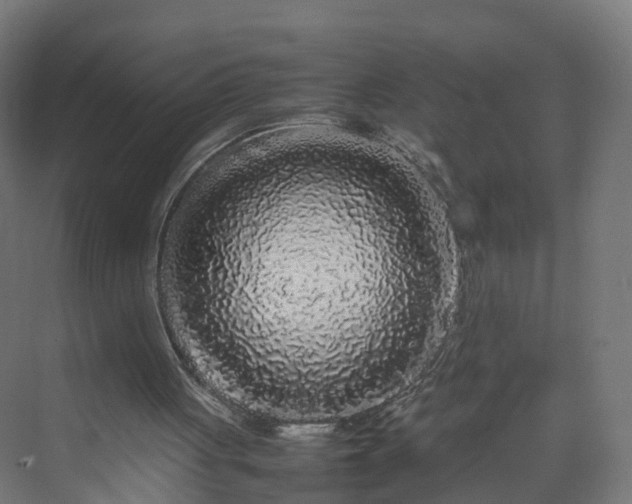 X0000070210051200606021306