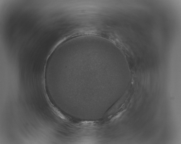 X0000070210052200606021306