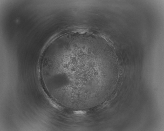 X0000070210053200606021306