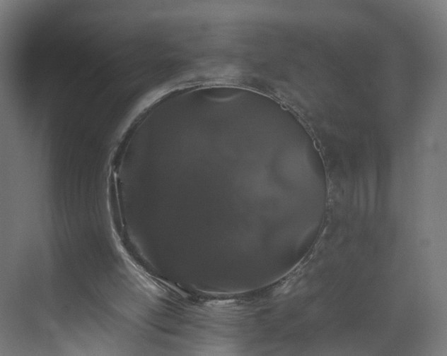 X0000070210054200606021306