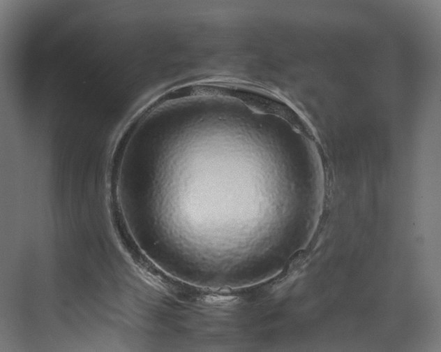 X0000070210055200606021306