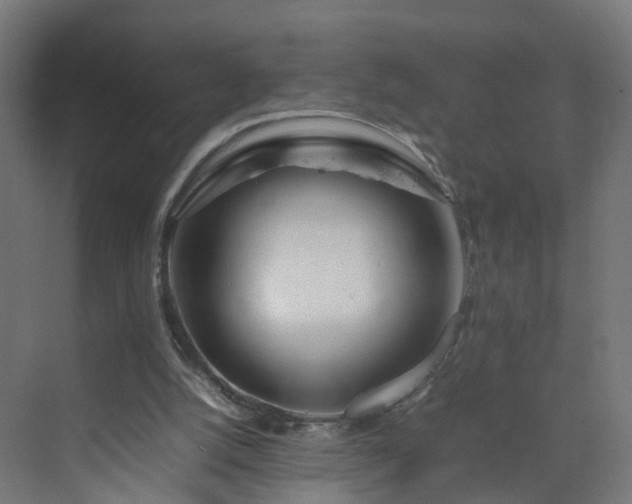 X0000070210056200606021306