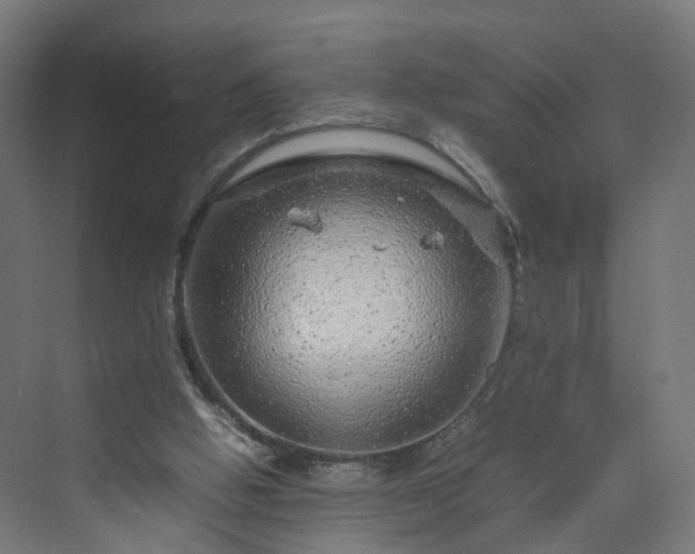 X0000070210058200606021306