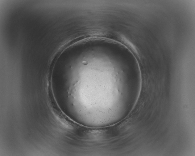 X0000070210059200606021306