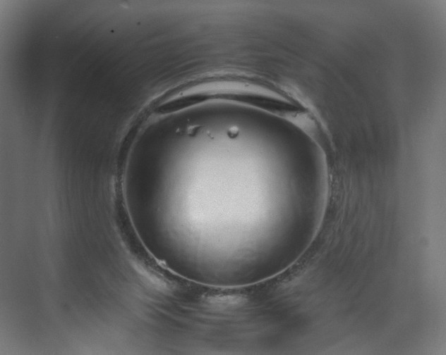 X0000070210063200606021306