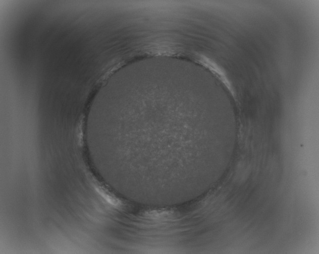 X0000070210065200606021306