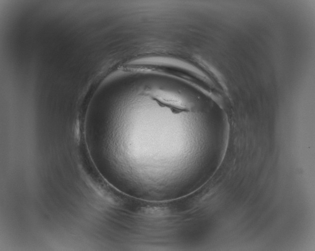 X0000070210067200606021306