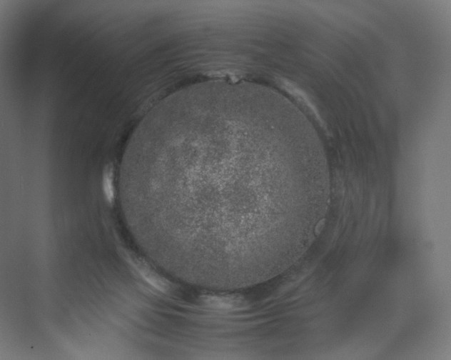 X0000070210069200606021306