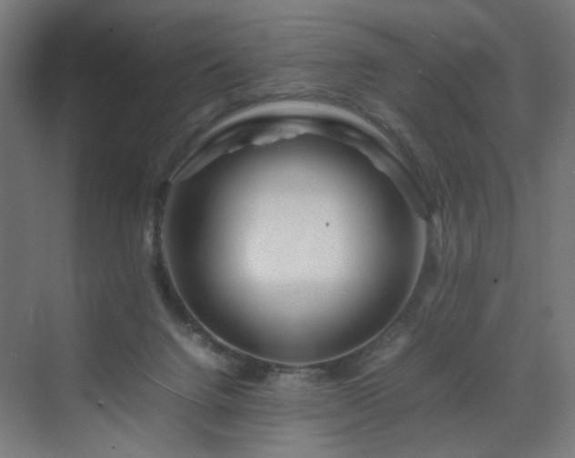 X0000070210072200606021306