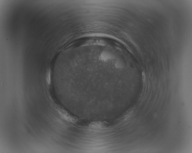 X0000070210076200606021306