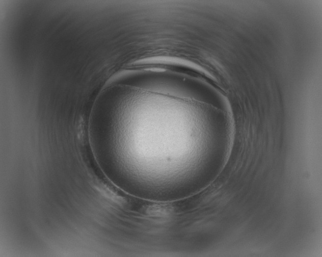 X0000070210077200606021306