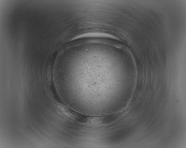 X0000070210078200606021306