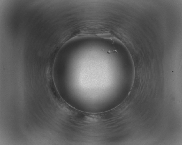 X0000070210079200606021306