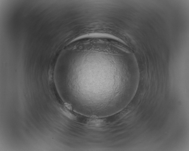 X0000070210081200606021306