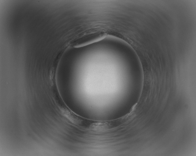 X0000070210082200606021306