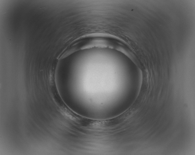 X0000070210084200606021306