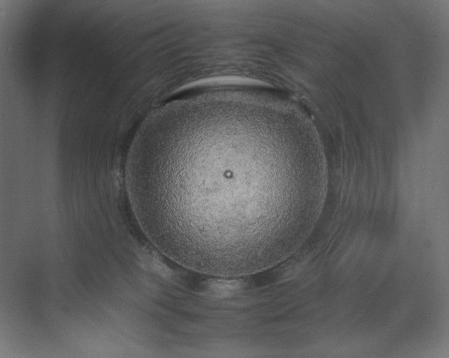 X0000070210085200606021306