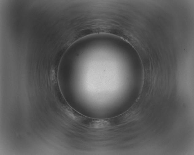 X0000070210087200606021306