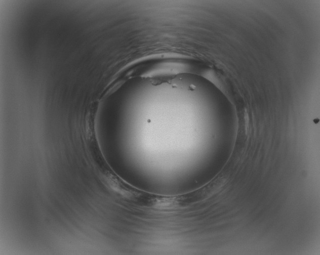 X0000070210088200606021306