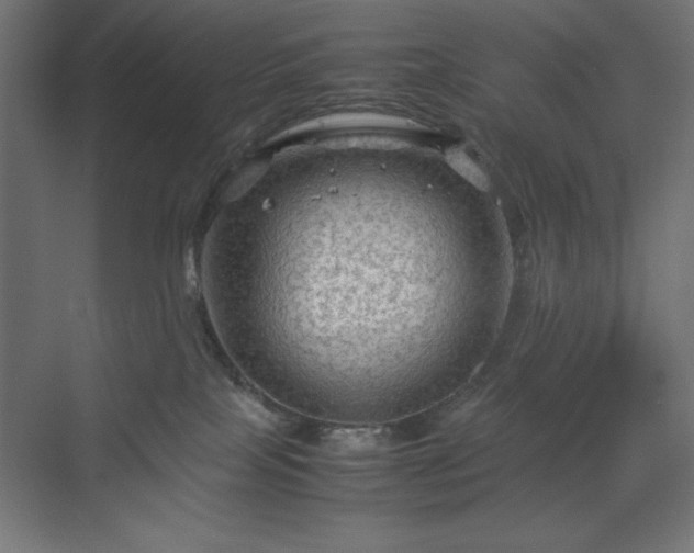 X0000070210089200606021306