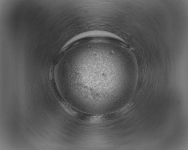 X0000070210090200606021306