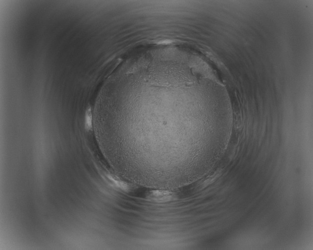 X0000070210095200606021306