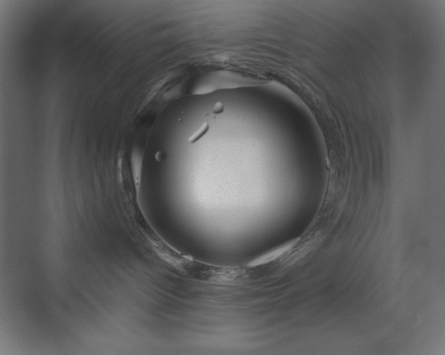 X0000070210096200606021306