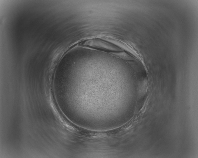 X0000070210097200606021306