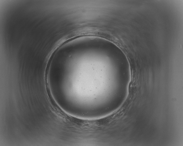 X0000070210099200606021305