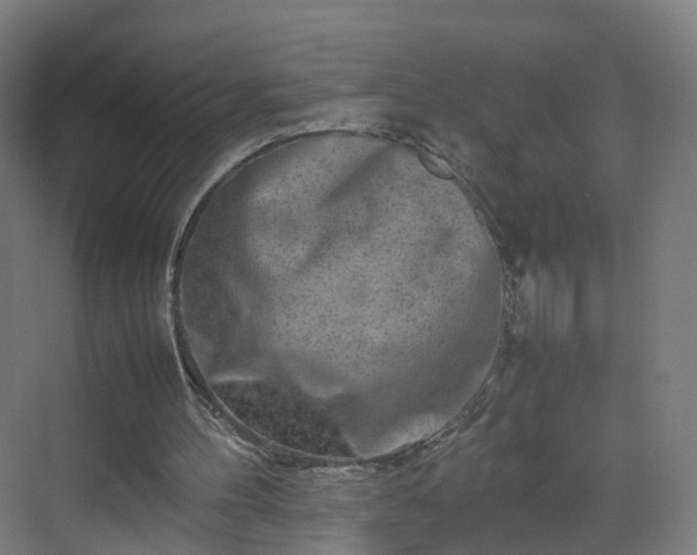 X0000070210100200606021305