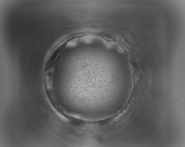 X0000070210101200606021305