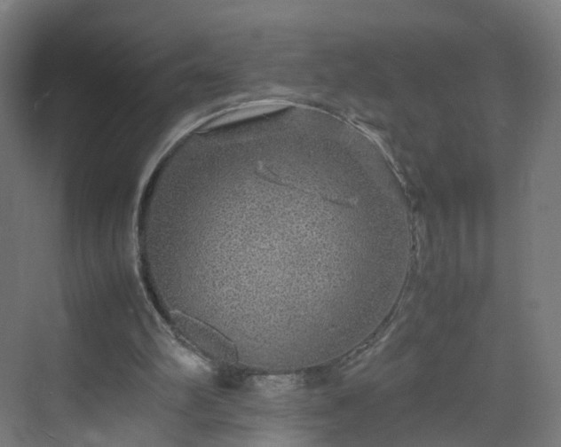 X0000070210102200606021305