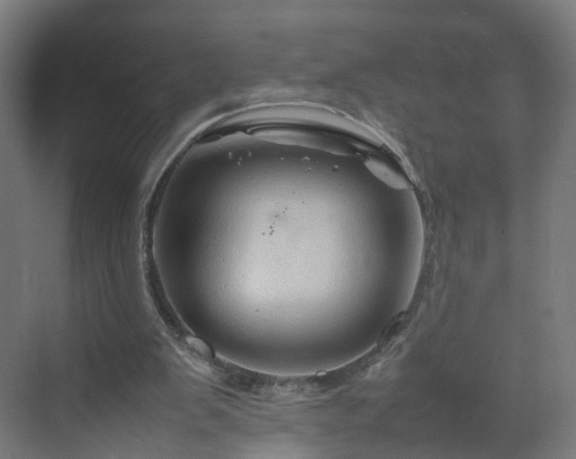 X0000070210103200606021305