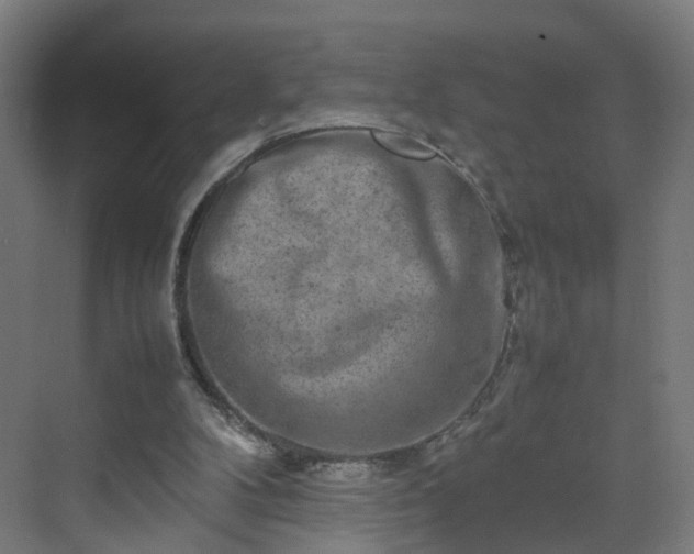 X0000070210104200606021305