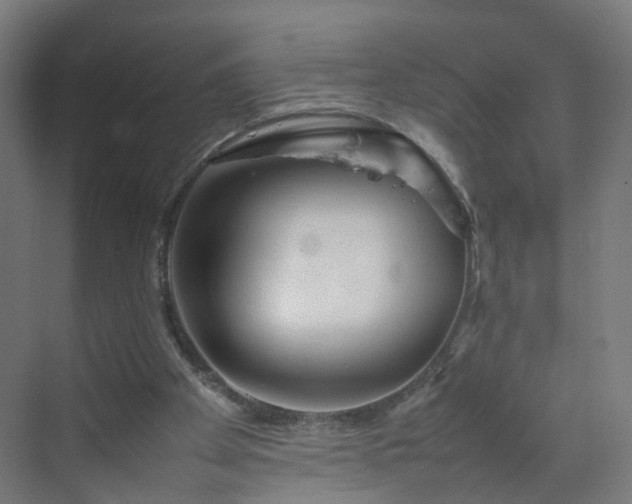 X0000070210105200606021305