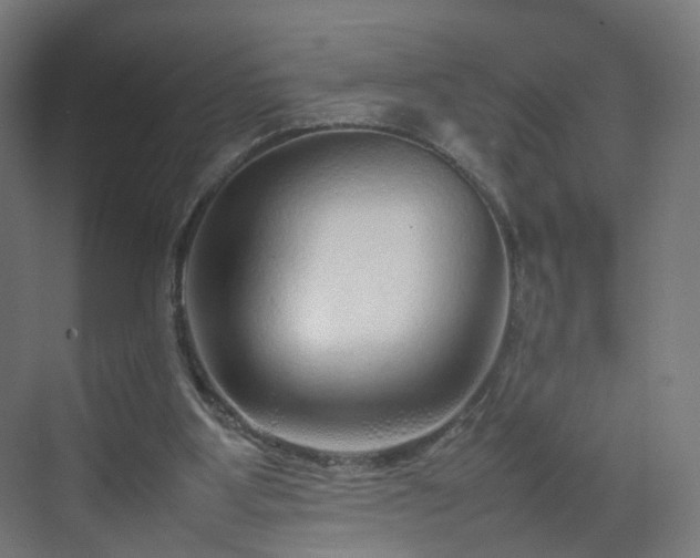 X0000070210107200606021305